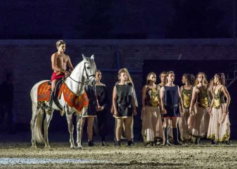 Gladiator-Musical and horse show